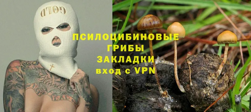 Псилоцибиновые грибы Magic Shrooms  Лиски 